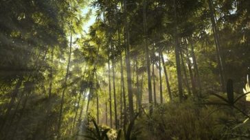 ATLAS - Árvores de habilidades