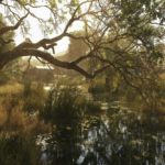 Hunt: Showdown - Novo Guia do Jogador