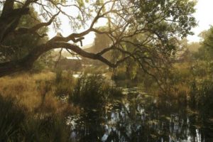 Hunt: Showdown - Novo Guia do Jogador