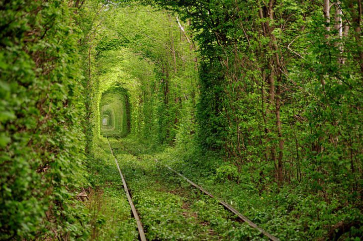 Túnel do Amor, Ucrânia