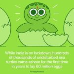 10 coisas boas que aconteceram durante a pandemia do coronavírus