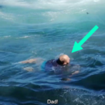 Baleia quase engole homem durante passeio de barco