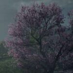 Hogwarts Legacy Todos os Três Feitiços Imperdoáveis ​​(Como Obter)