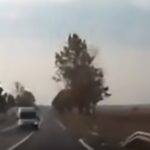 Boas habilidades de condução