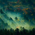 Encante-se com a Beleza da Natureza